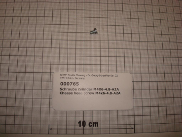 Cylinder screw DIN84,M4x6mm,4.8,galvanized