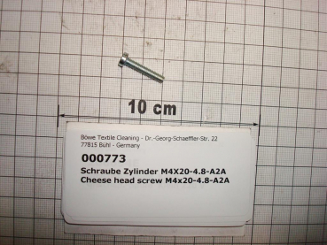 Cylinder screw DIN84,M4x20mm,4.8,galvanized
