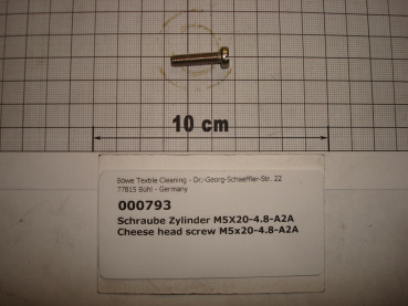 Cylinder screw DIN84,M5x20mm,4.8,galvanized