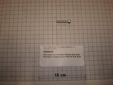 Cylinder screw DIN912,M5x25mm,8.8,galvanized