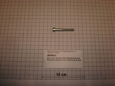 Cylinder screw DIN912,M6x45mm,8.8,galvanized