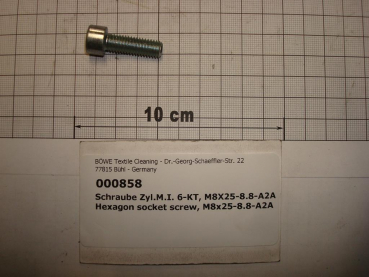 Cylinder screw DIN912,M8x25mm,8.8,galvanized