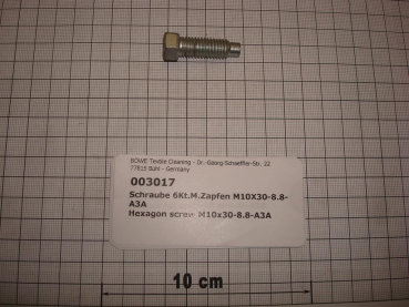 Hexagon screw with pin,M10x30-8.8-A3A