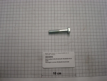 Hexagon screw DIN931,M10x55mm,8.8,galvanized