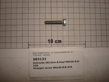 Hexagon screw DIN933,M6x30mm,8.8,galvanized