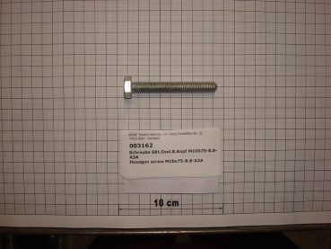 Hexagon screw DIN933,M10x75mm,8.8,galvanized