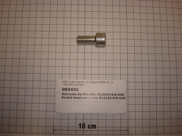 Cylinder screw DIN912,M12x22mm,8.8,galvanized