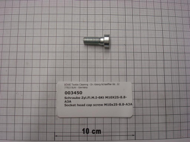 Cylinder screw DIN6912,M10x25mm,8.8,galvanized