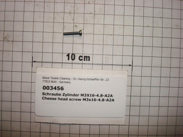 Cylinder screw DIN84,M3x16mm,4.8,galvanized