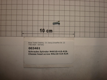 Cylinder screw DIN84,M4x10mm,4.8,galvanized