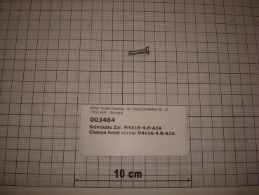 Cylinder screw DIN84,M4x16mm,4.8,galvanized