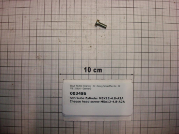 Cylinder screw DIN84,M5x12mm,4.8,galvanized