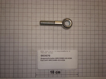 Eye screw DIN444,AM12x60mm,4.6,galvanized