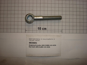 Eye screw DIN444,AM12x80mm,4.6,galvanized