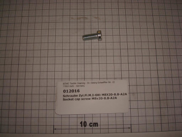 Cylinder screw DIN7984,M8x20mm,8.8,galvanized