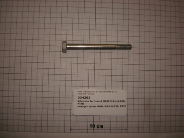 Hexagon screw DIN601,M10x110mm,4.6,galvanized,P470