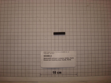Dowel pin,DIN1481,3x30mm,galvanized,loading door,P470
