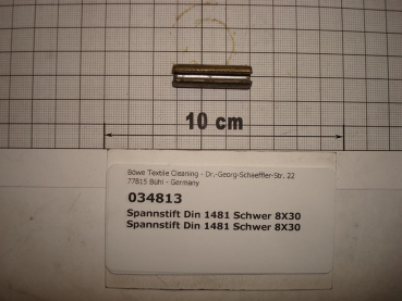 Dowel pin,DIN1481,8x30mm,galvanized,loading door,P470