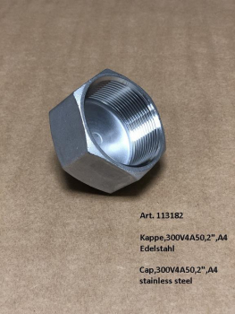 Cap,300V4A50,2",A4 stainless steel