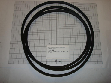 V-belt,5/9x2500mm,P422