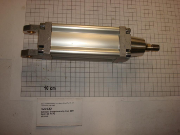 Compressed air cylinder,DN50/stroke=100mm,M14,1/4",double-acting,P470