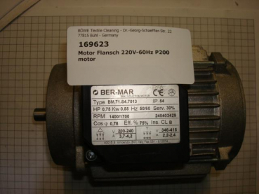 Filter motor,shaft 19mm,220V-60Hz,filter drive,P200/520