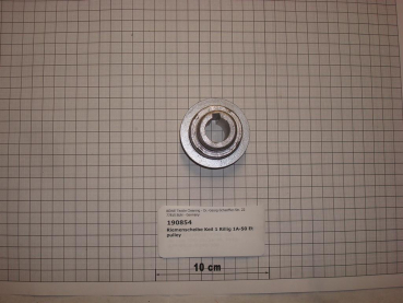 V-belt pulley 1 groove 50mm for eco filter / spin filter