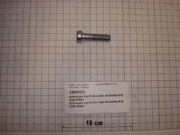 Cylinder screw DIN6912,M10x40mm,8.8,galvanized
