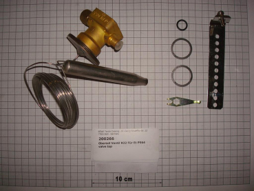 Expansion valve,R22,P564