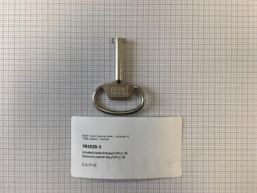Electrical cabinet key,P/M12-30