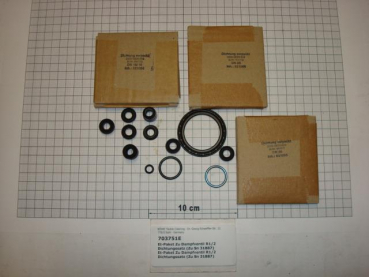 Spares kit for steam valve 1/2" - 031887