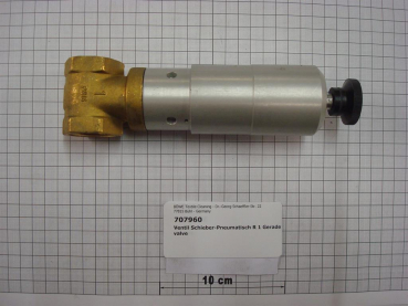 Gate valve pneumatic,1",NC,straight