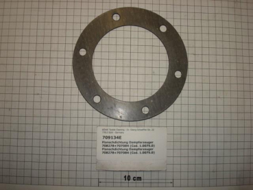 Gasket,round,100x150x2mm,6-holes,steam generator,806370+806306