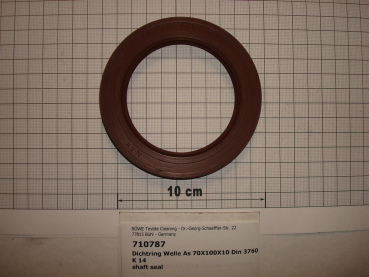 Shaft seal,70x100x10mm,viton,AS,DIN3760