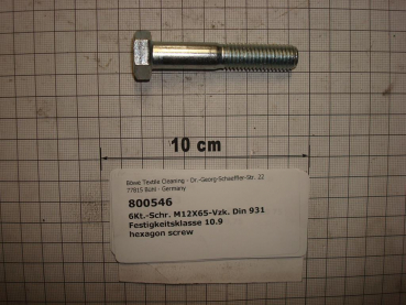 Hexagon screw DIN931,M12x65mm,10.9,galvanized
