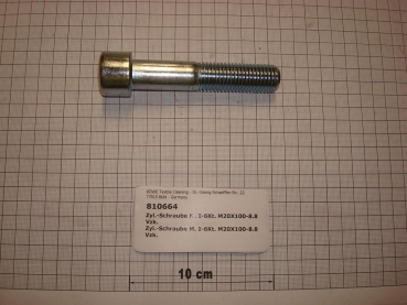 Cylinder screw DIN912,M20x100mm,8.8,galvanized