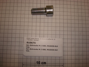 Cylinder screw DIN912,M16x35mm,8.8,galvanized,InduLine