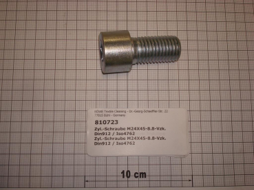 Cylinder screw DIN912,M24x45mm,8.8,galvanized