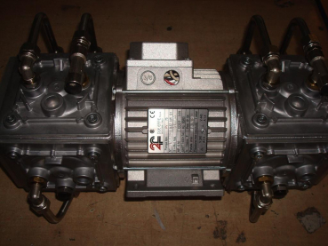 Double Vacuum pump,8p,FF,400V-50Hz,M21-30